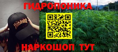 амф Будённовск