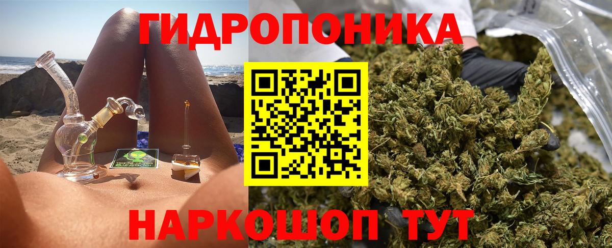 Марихуана план  Марихуана семена  Каннабис ГИДРОПОН  Ефремов  Вход с VPN 